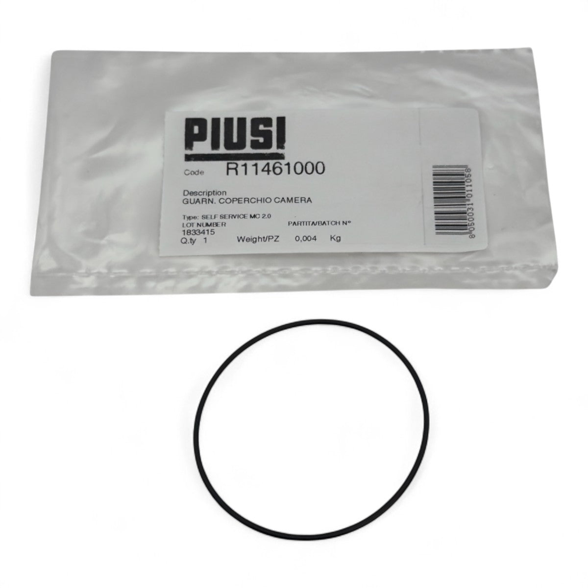 Piusi Panther - Kit brides 1" BSP (2 pièces) | Vassallo Sistemi