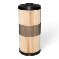 25 µm (Absorber)